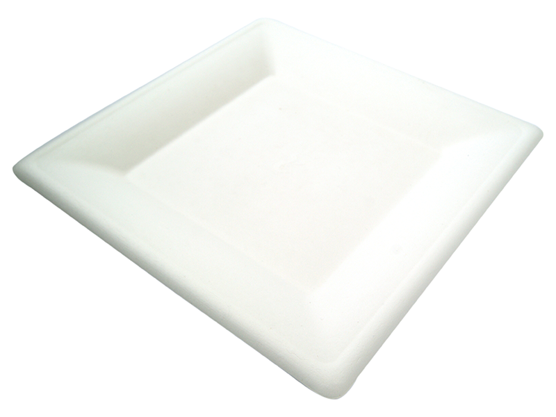 Tray 26x26cm Bagasse, Carton 500 - Vegware