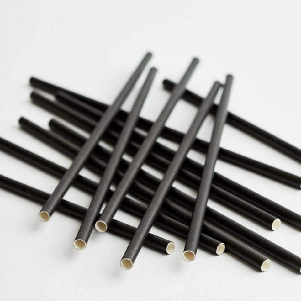 3Ply Drinking Straws REGULAR PLAIN BLACK - Epicure