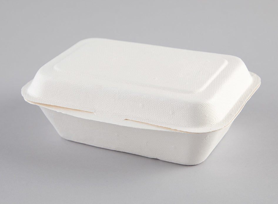 Enviroware 500ml Hinged Container - Coastal